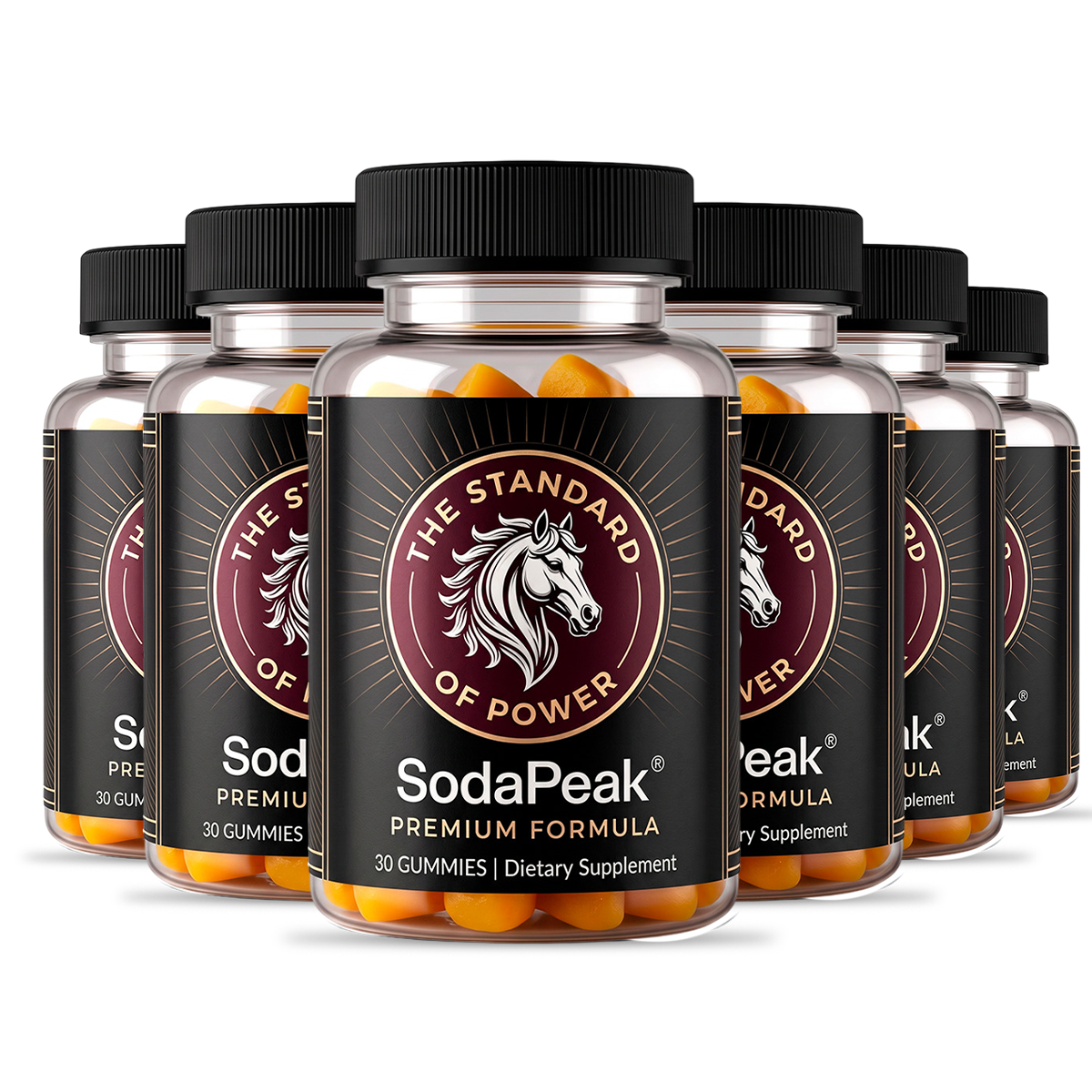 6 Bottles SodaPeak Best Offer